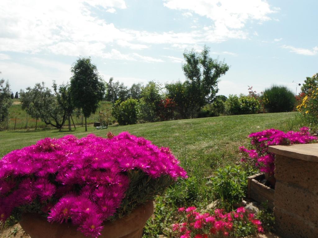 Locanda Degli Etruschi Montalto di Castro Exterior photo