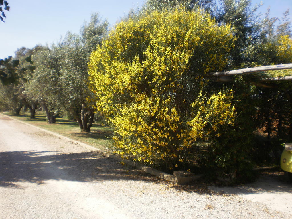 Locanda Degli Etruschi Montalto di Castro Exterior photo